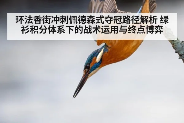 环法香街冲刺佩德森式夺冠路径解析 绿衫积分体系下的战术运用与终点博弈
