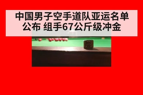 中国男子空手道队亚运名单公布 组手67公斤级冲金